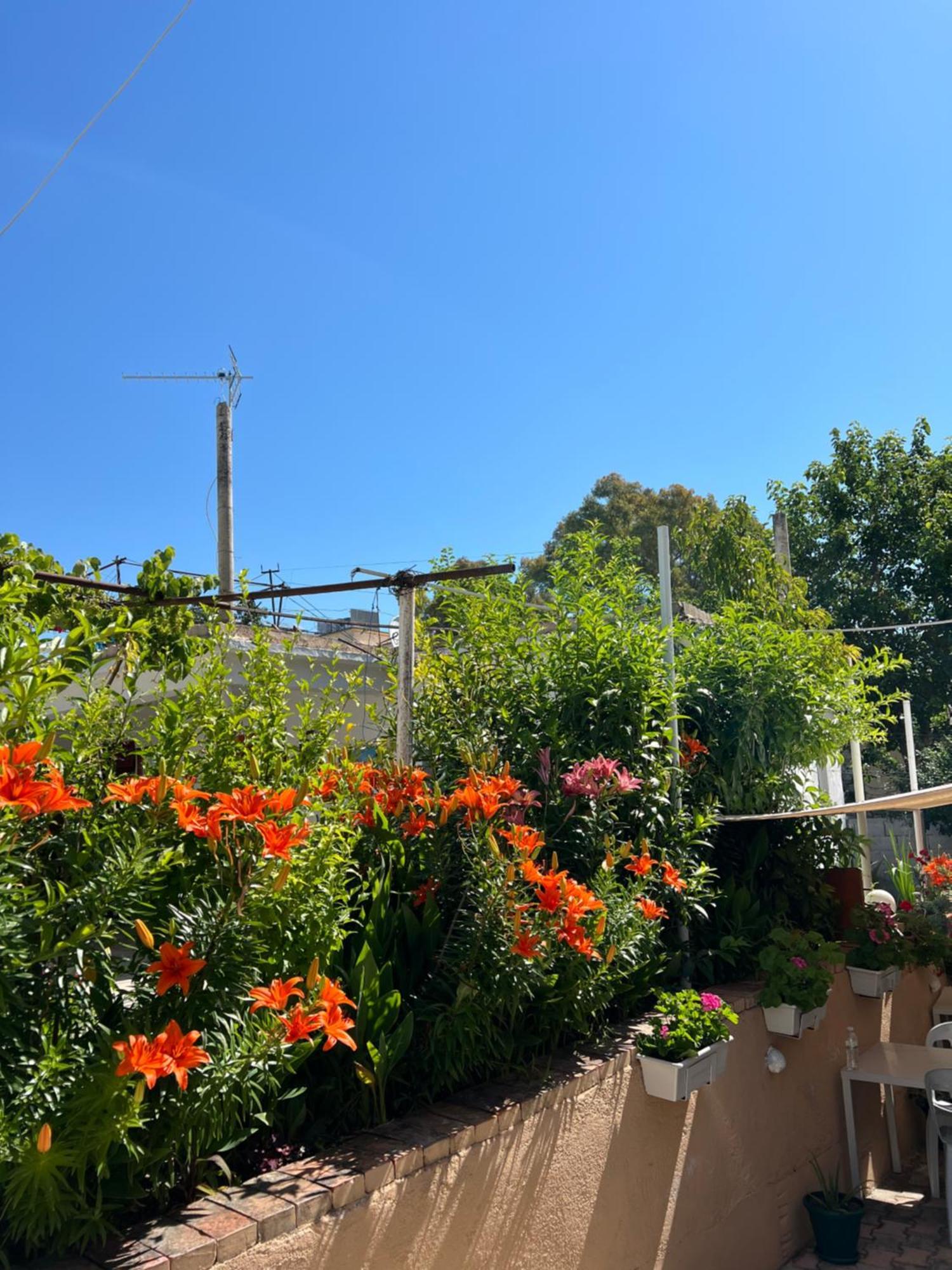 Villa Green Vlorë Eksteriør bilde